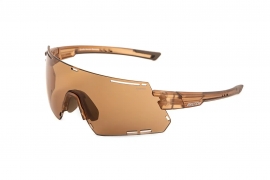 Солнцезащитные очки BRENDA мод. G105C m. transparent brown-brown Солнцезащитные очки BRENDA мод. G105C m. transparent brown-brown