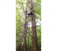 Засидка складная на дерево с лестницей Canadian Camper TS-622